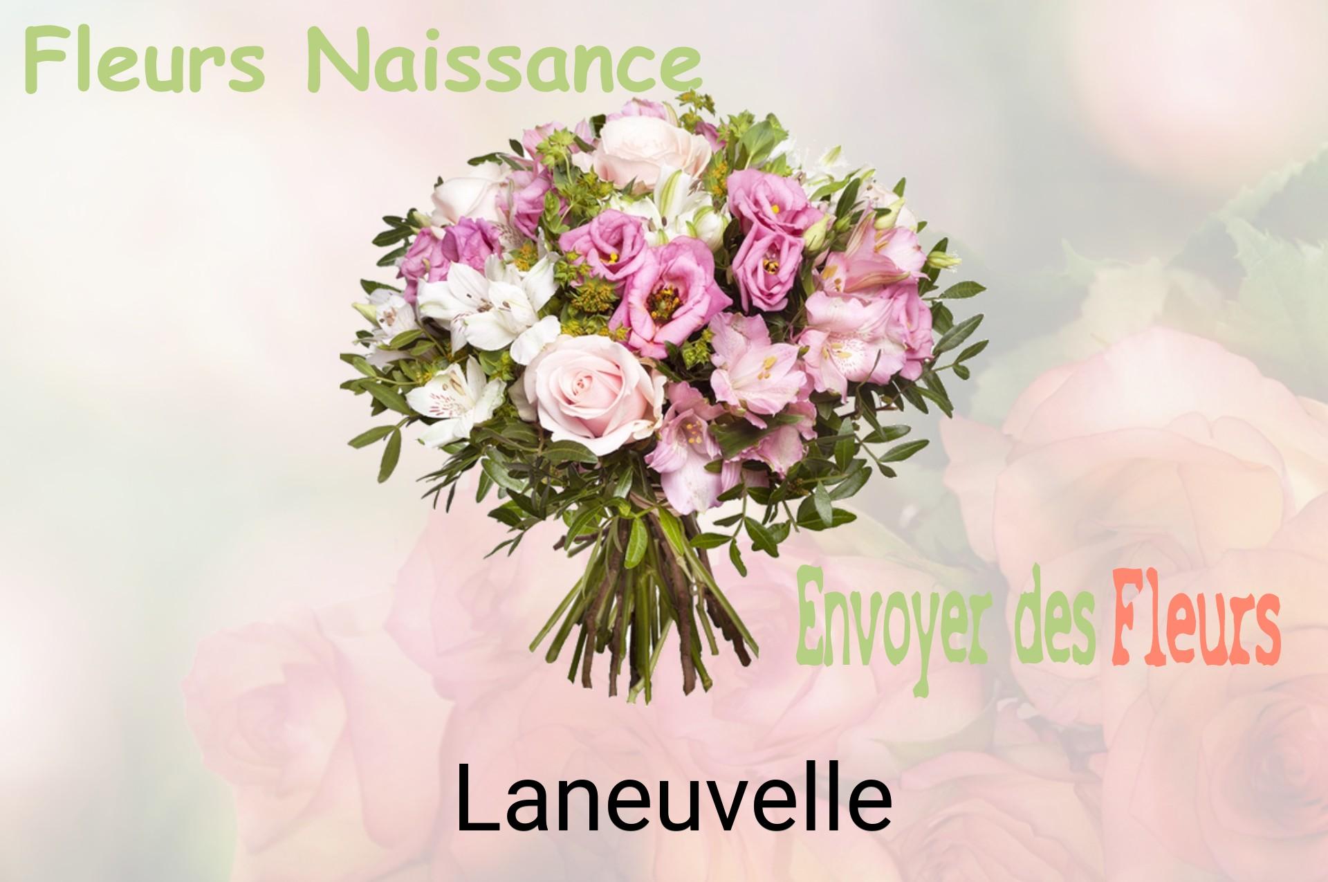 Bouquet de fleurs de naissance livré à Laneuvelle