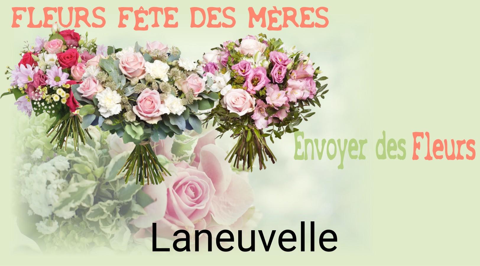 Bouquet de Fête des Mères livré à Laneuvelle